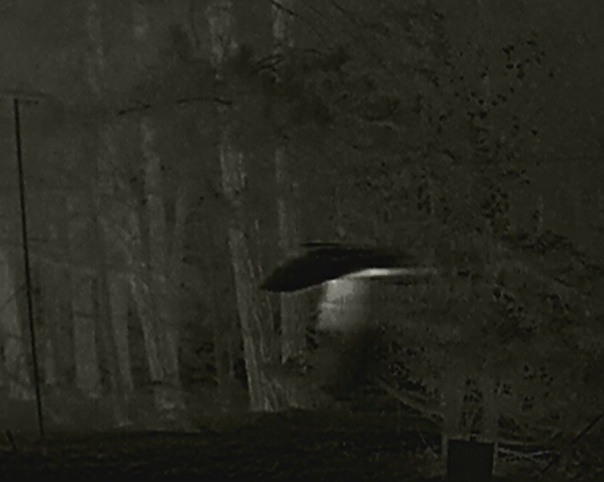 Long-eared Owl - ML642708270