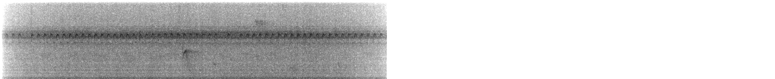 Wanderdrossel - ML642708412