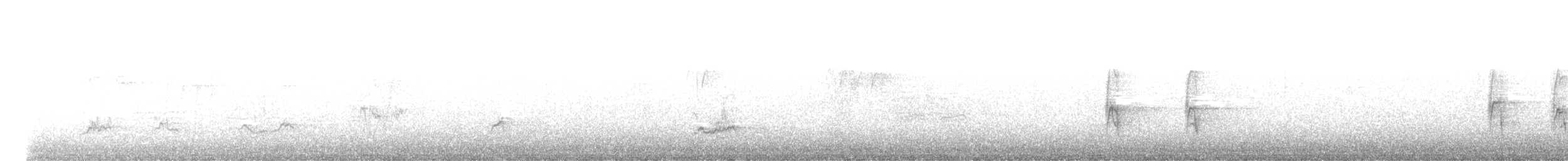 Wanderdrossel - ML642708676