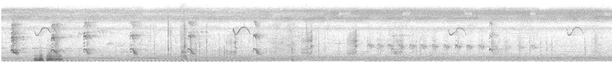 Striated Heron - ML642709119