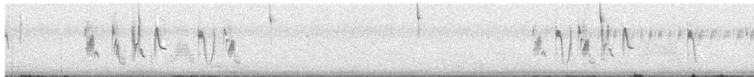 Correndera Pipit - ML642709146