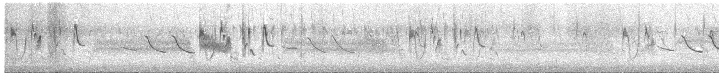 Correndera Pipit - ML642709147