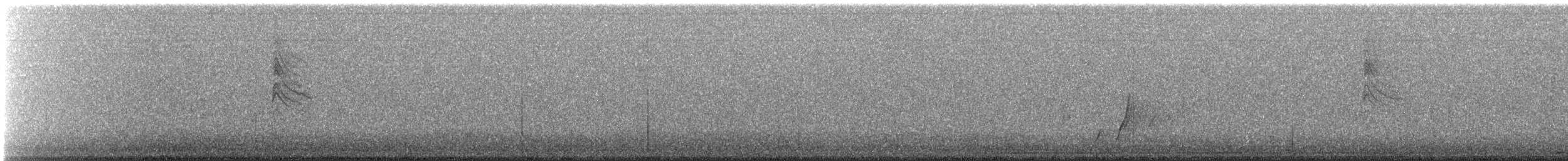 nordmyggsmett (obscura gr.) - ML642709319