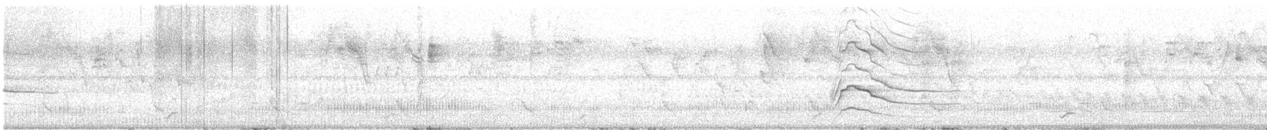 Roadside Hawk - ML642710689