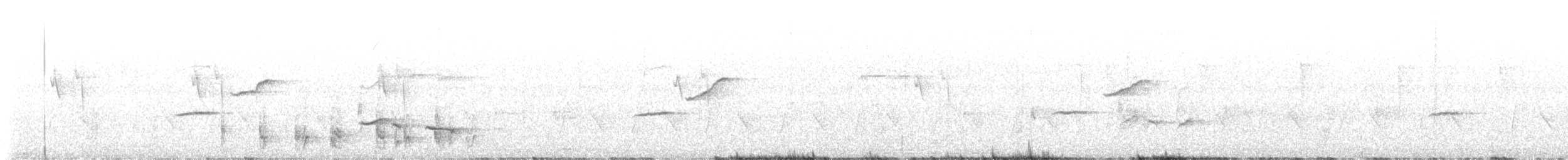 budníček velkozobý - ML642710910