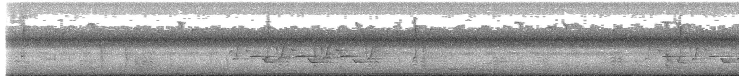 Connecticut Warbler - ML642710920