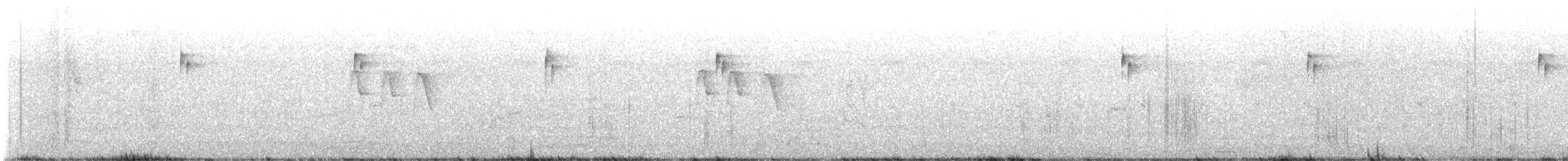 květozob ochmetový - ML642711024