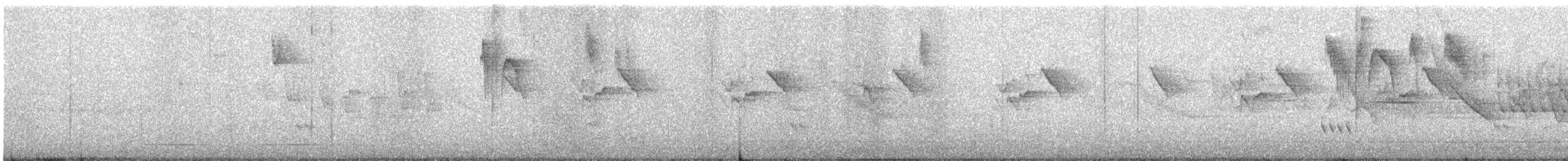 Çizgisiz Tiranulet - ML642711366