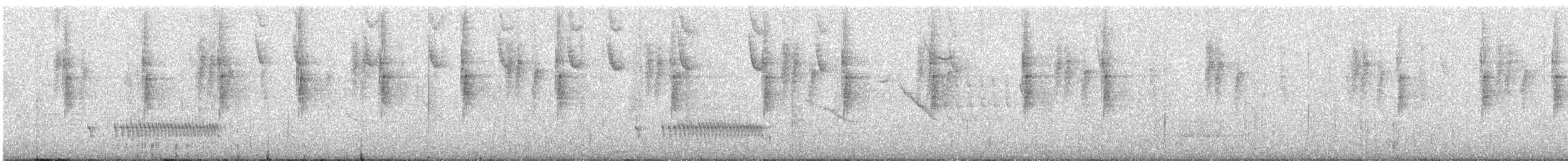 Panao Antpitta - ML642711559