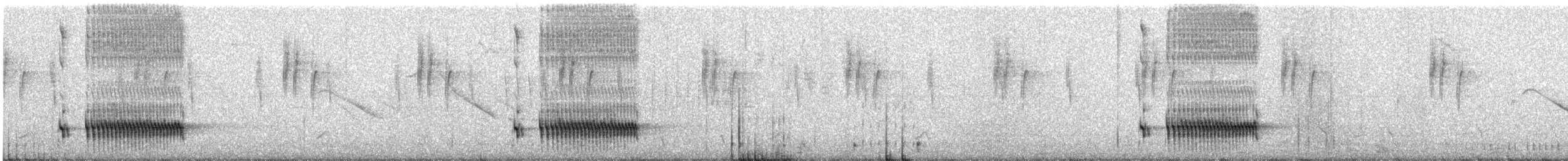 Panao Antpitta - ML642711560