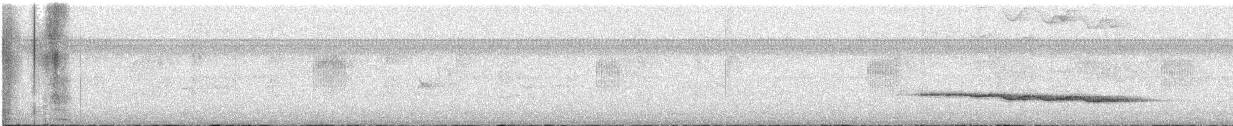 Gray Sibia - ML642711696