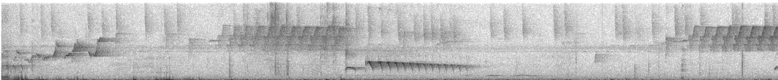 Blackish Antbird - ML642711853