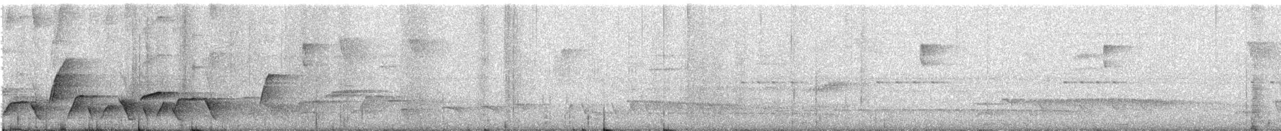 Coraya Wren - ML642711942