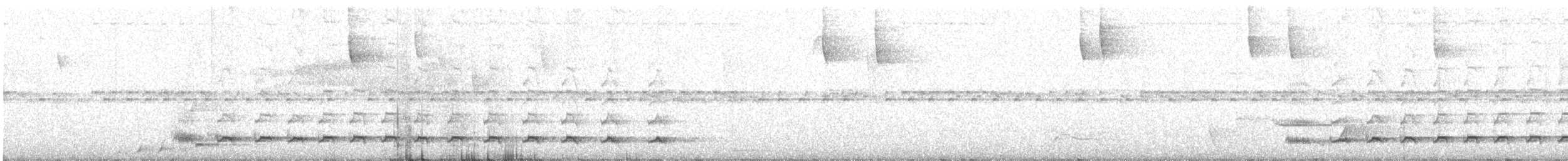 Wing-barred Piprites - ML642712155