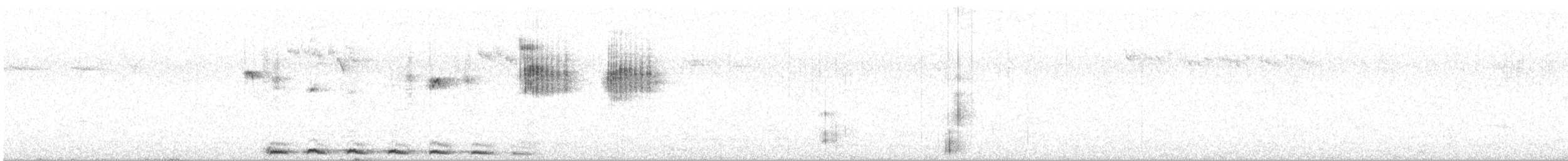 Weißkehltapaculo - ML642712965