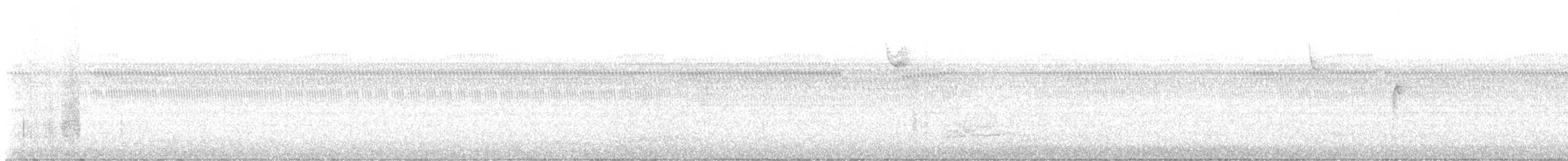 ノドジロシトド - ML642713230