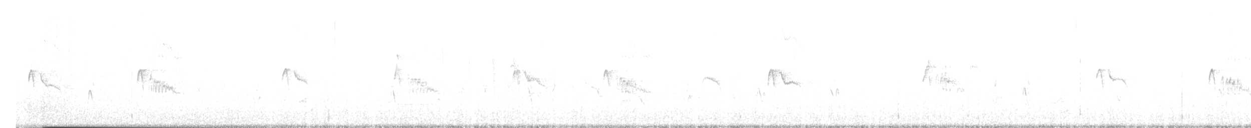 Black Phoebe - ML642713298