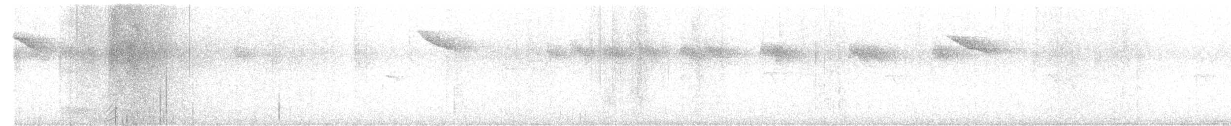 Black Woodpecker - ML642714770