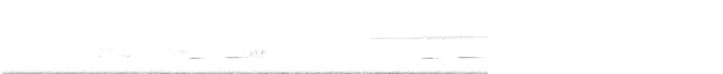 Striped Cuckoo - ML642716203