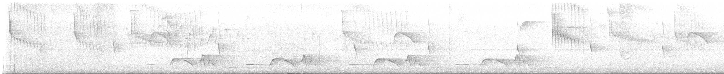 Whiskered Wren - ML642716402