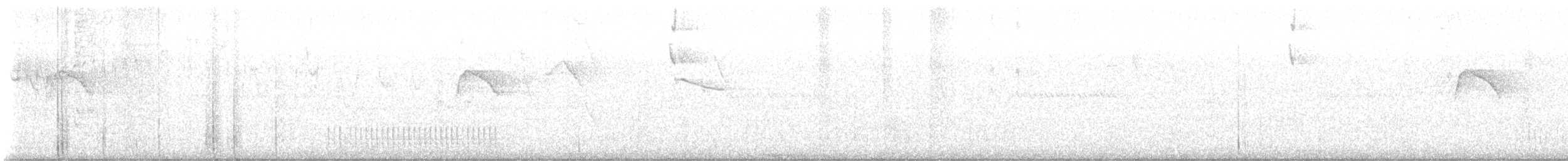 Smoky-brown Woodpecker - ML642716517