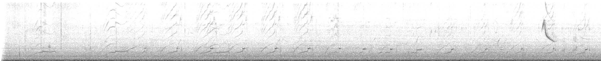 glattnebbani - ML642716954