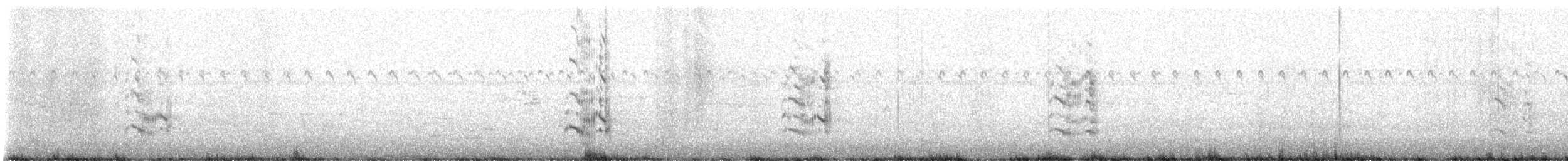 Royal Tern - ML642717190