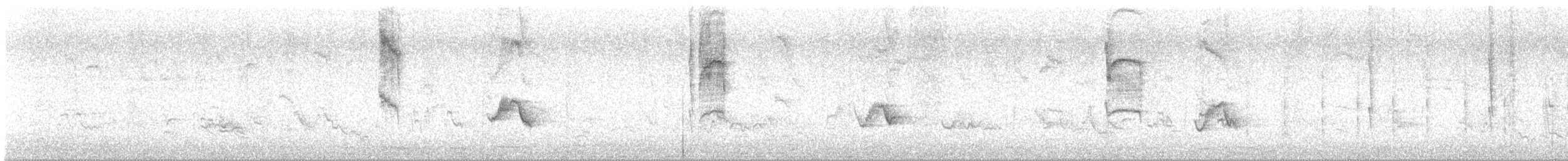 Reunion Gray White-eye - ML642717507