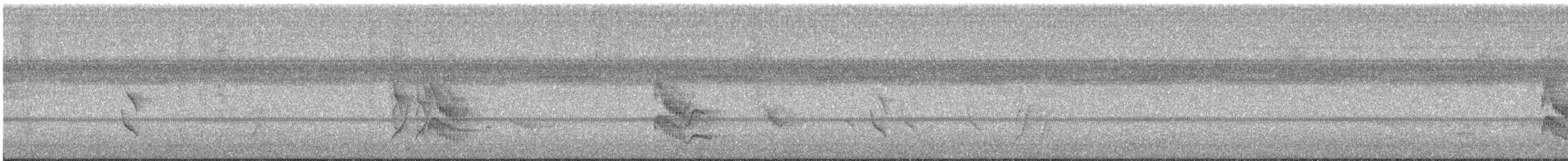 hvitskjeggmanakin - ML642718424