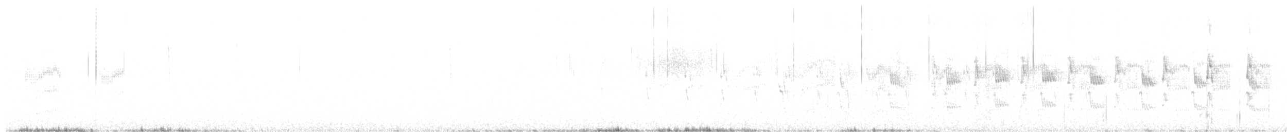 Sclater's Tyrannulet - ML642719564