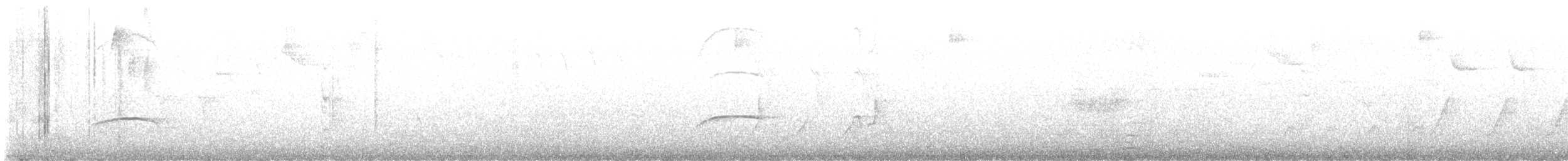 プエルトリコヒタキモドキ - ML642720441