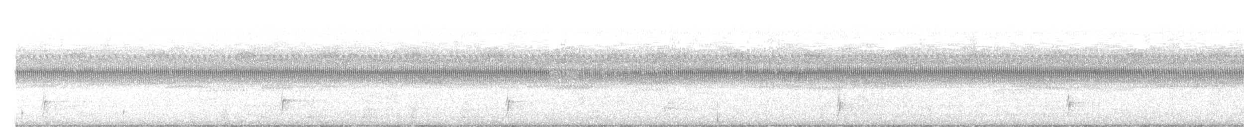 Zwergmusendrossel - ML642722111