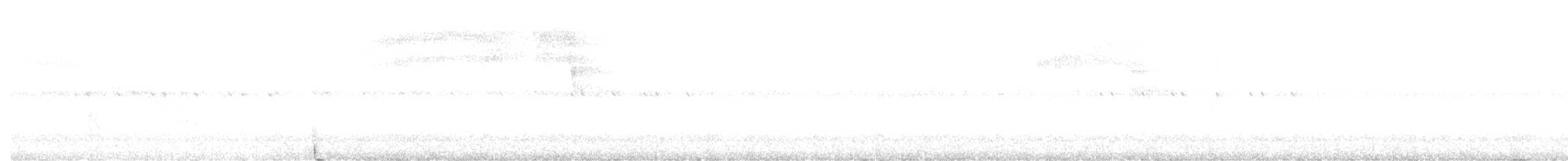 ススイロメンフクロウ（tenebricosa／arfaki） - ML642722474