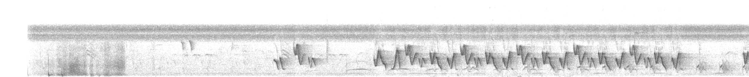 Buff-breasted Wren - ML642723180