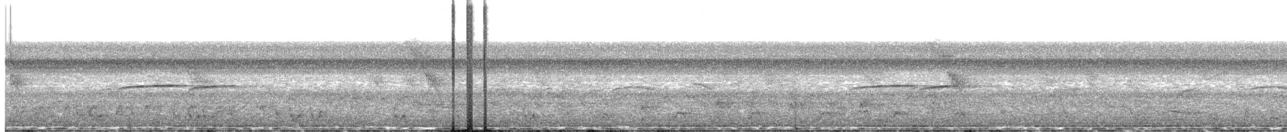 Jet Antbird - ML642724093