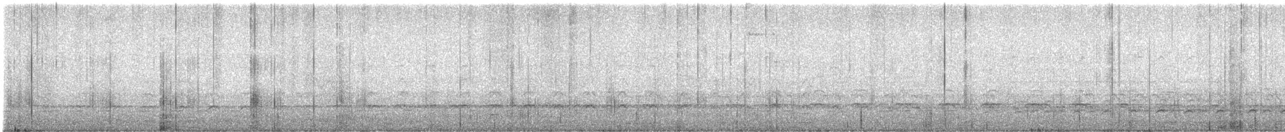 Oedicnème du Pérou - ML642725771