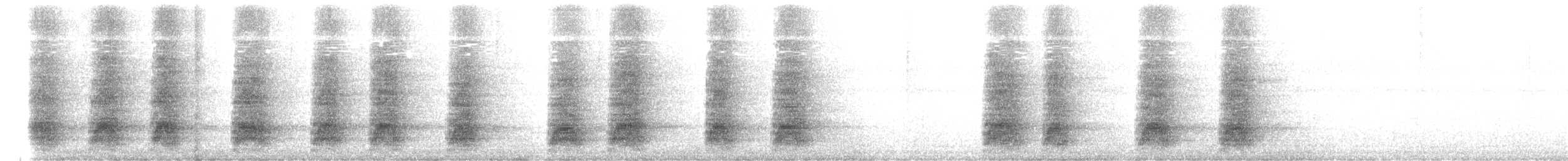 White-throated Magpie-Jay - ML642725883