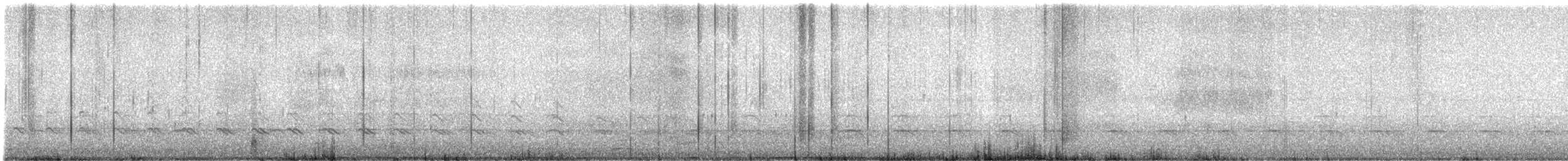 Oedicnème du Pérou - ML642726133