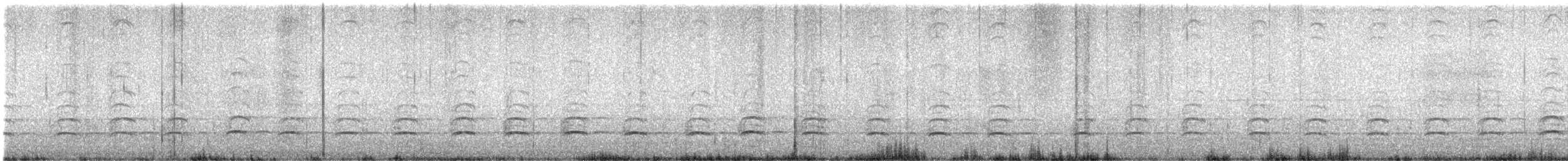 Oedicnème du Pérou - ML642726194