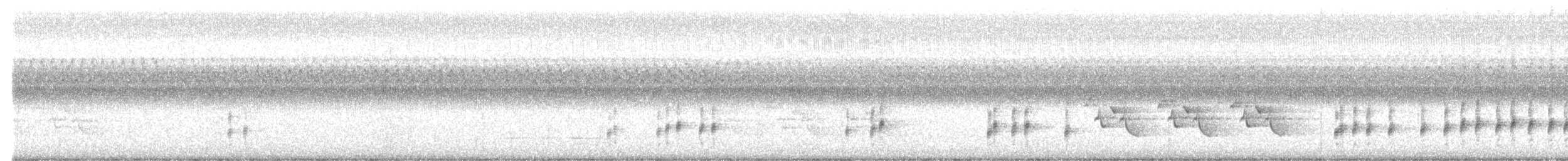 Northern House Wren - ML642726917