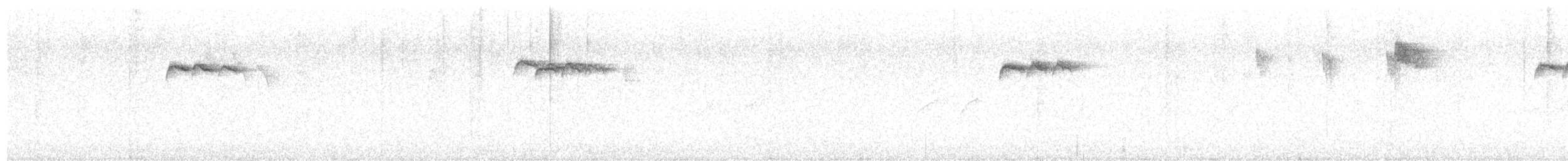 Сүүлт хөх бух - ML642726953