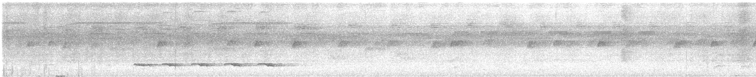 White-shouldered Antbird - ML642727190