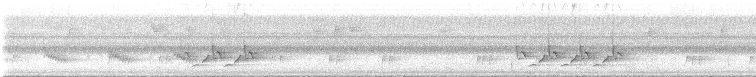 Carolina Wren - ML642727557