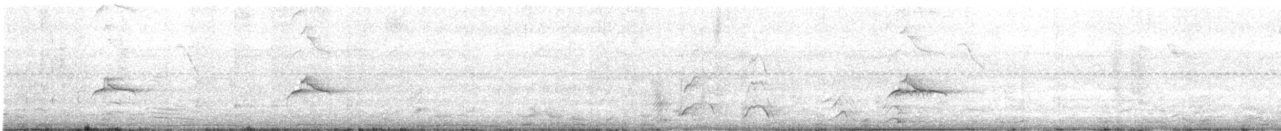 Tyran pirate - ML642727761