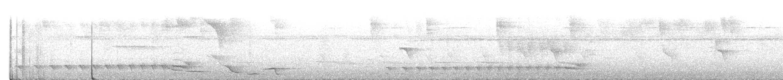 kullmaurvarsler - ML642728441