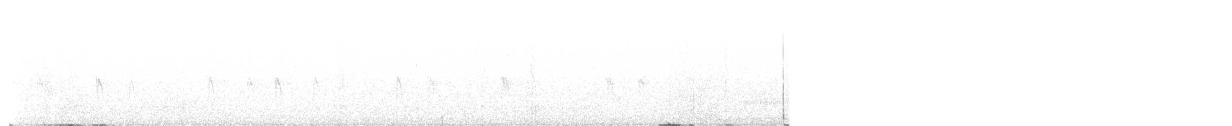 Шишкар ялиновий - ML642729098