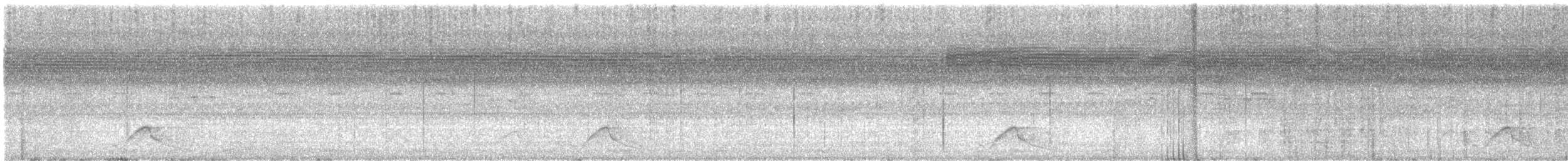 pauraquenattravn - ML642729210