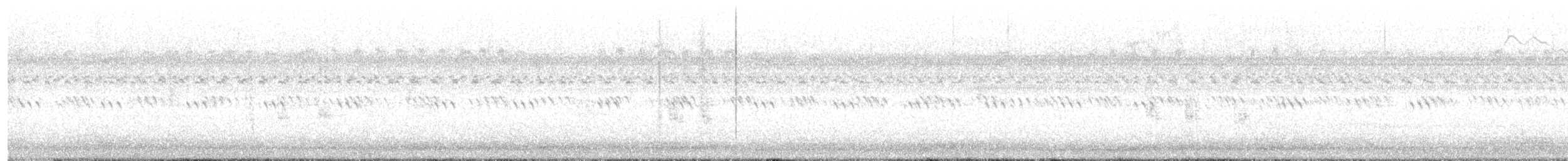 Virginia Rail - ML642729387