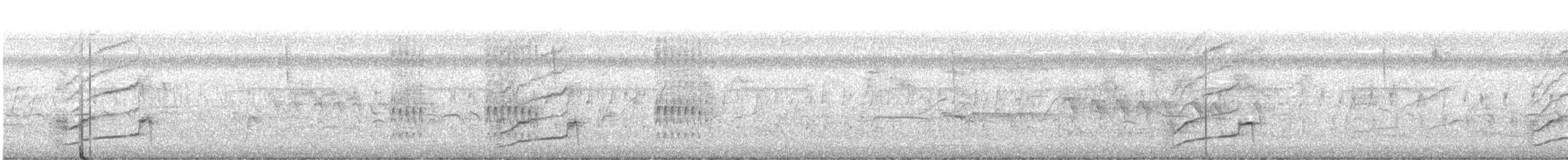 glattnebbani - ML642729688