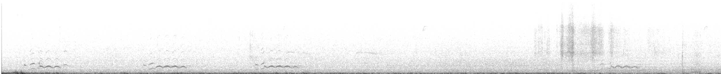 Common Loon - ML642730466